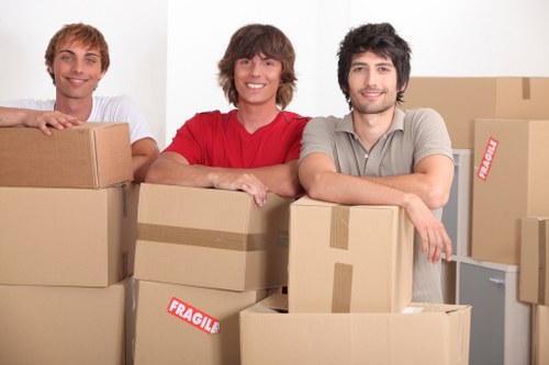 Professional transport service for boxes and furniture in Finland